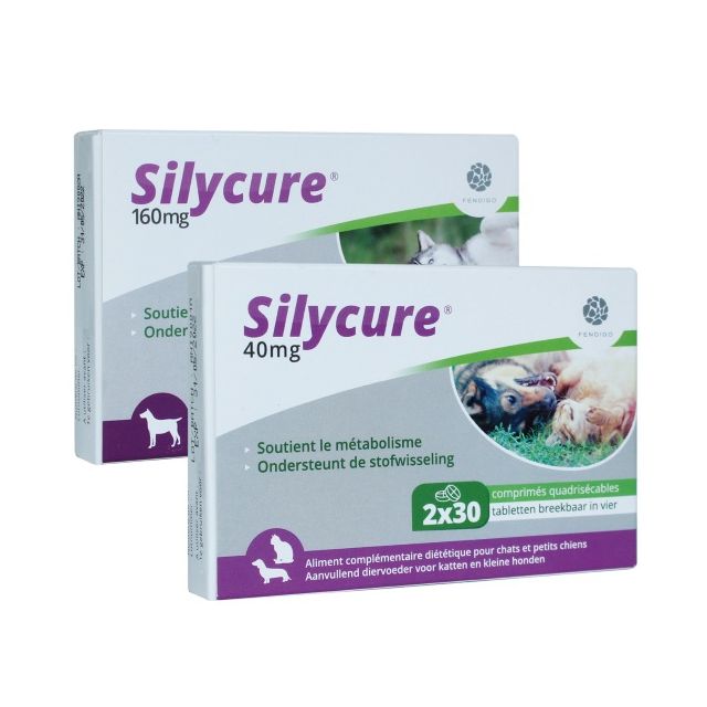 Silycure