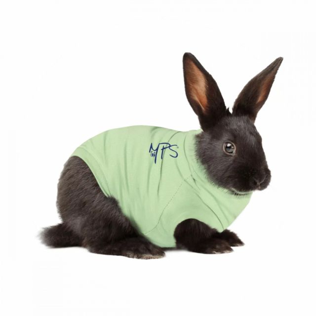 Medical Pet Shirt