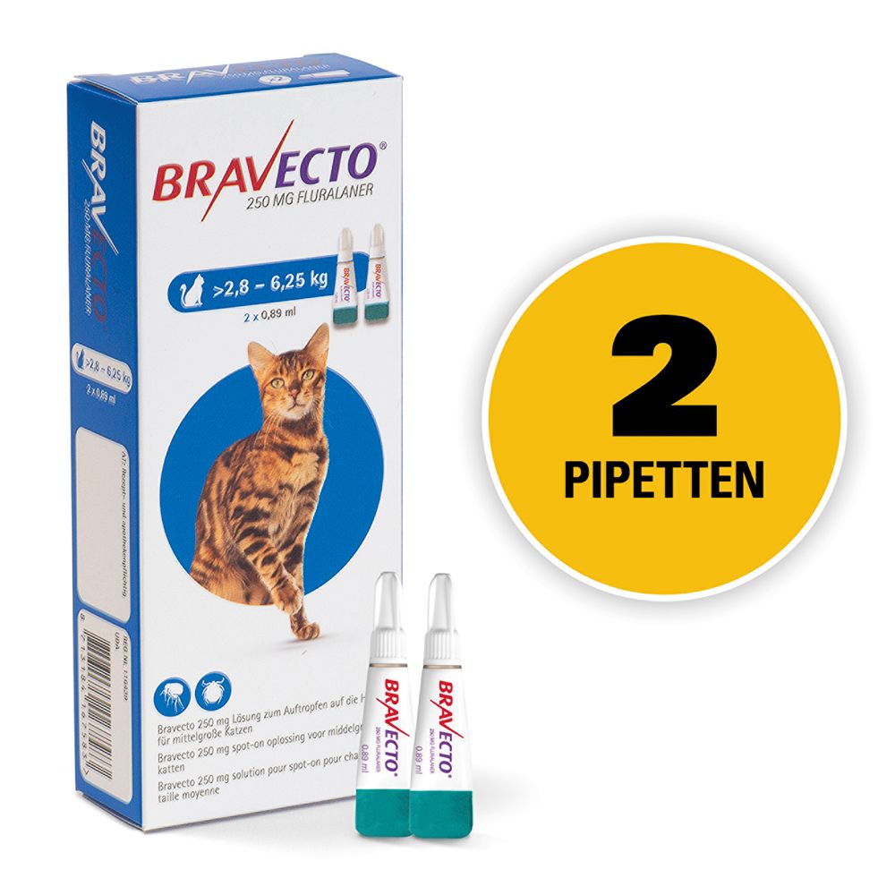 Bravecto spot on cat top 250 mg