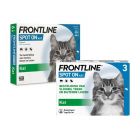 Frontline