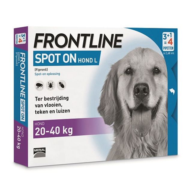 Frontline