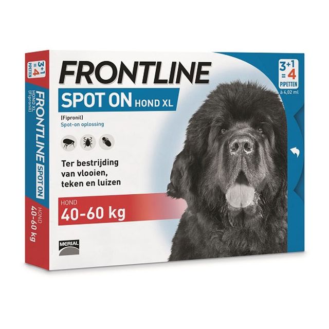 Frontline