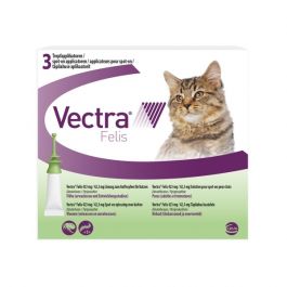 Vectra Felis