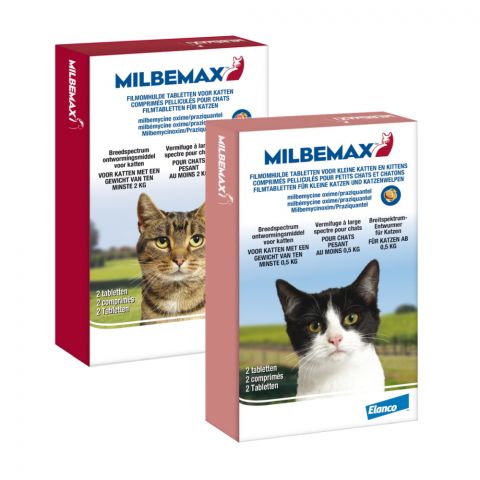 Milbemax cat