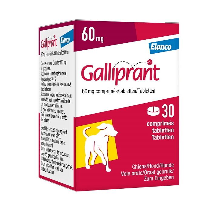 Galliprant 60 mg side hot sale effects